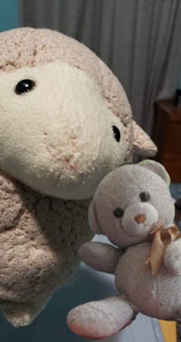 Original reference photo