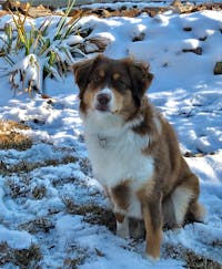 Original reference photo