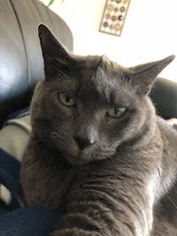 Original reference photo