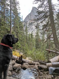 Original reference photo