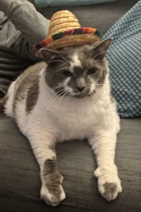 Original reference photo