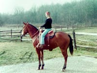 Original reference photo