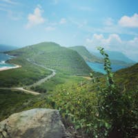 Original reference photo