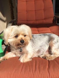 Original reference photo