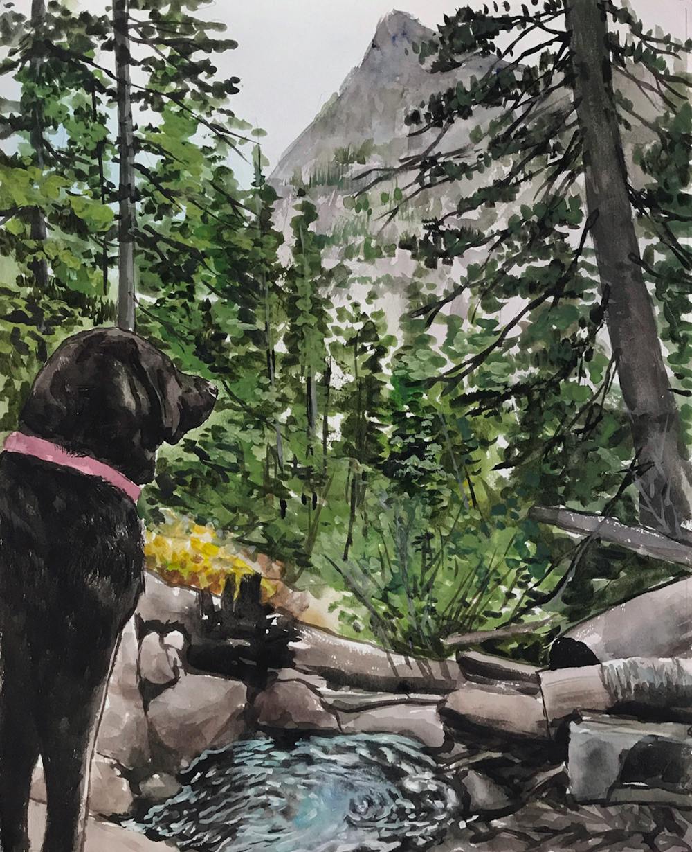 Artist-Rendered Painting