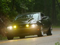 Original reference photo