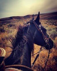 Original reference photo