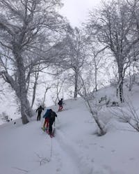 Original reference photo