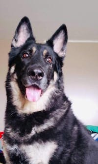 Original reference photo