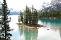 Original reference photo