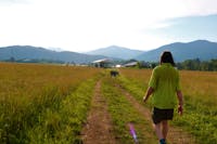 Original reference photo