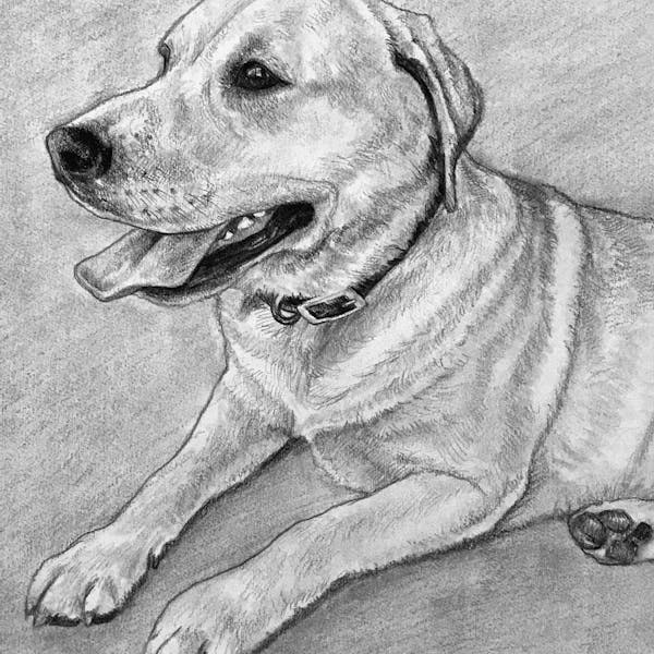 charcoal drawing from photo custom