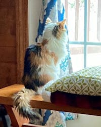 Original reference photo