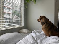 Original reference photo