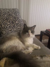 Original reference photo