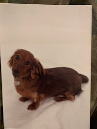 Original reference photo