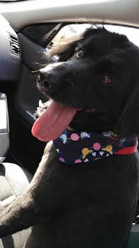 Original reference photo