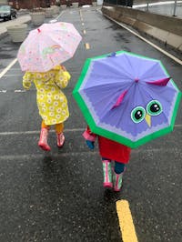 Original reference photo