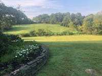 Original reference photo