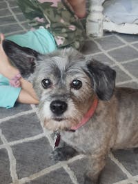 Original reference photo