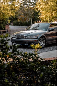 Original reference photo