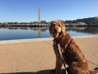 Original reference photo