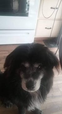 Original reference photo