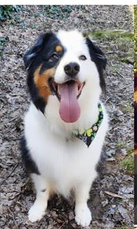 Original reference photo