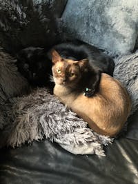 Original reference photo