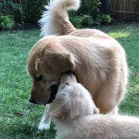 Original reference photo