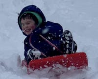 Original reference photo