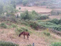 Original reference photo