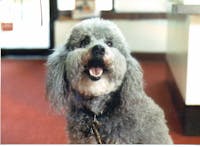 Original reference photo