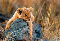 Original reference photo