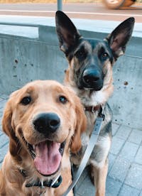 Original reference photo