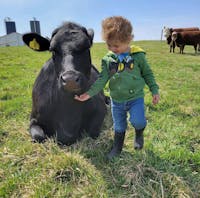 Original reference photo