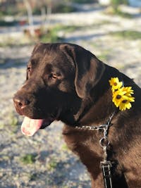 Original reference photo