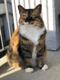 Original reference photo