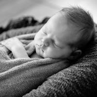 Original reference photo