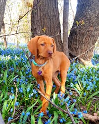 Original reference photo