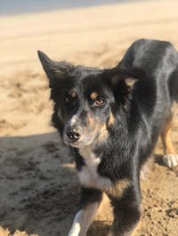 Original reference photo