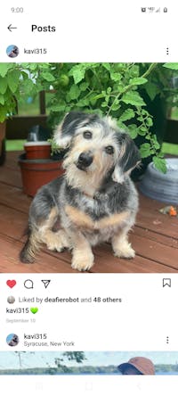 Original reference photo