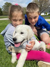 Original reference photo