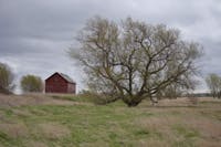 Original reference photo