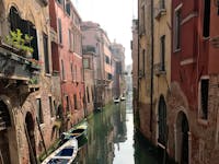 Original reference photo