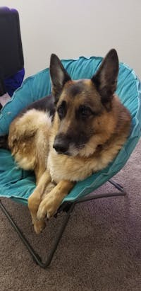 Original reference photo