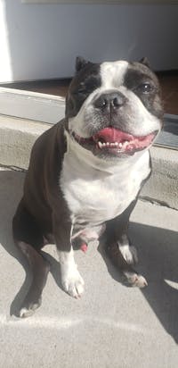 Original reference photo