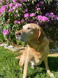 Original reference photo