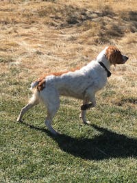 Original reference photo