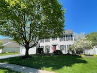 Original reference photo